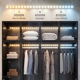 Modern wardrobe with clothes and shelves in a well-lit room